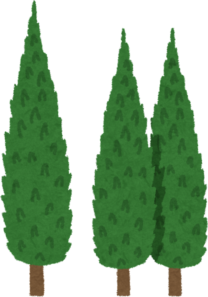 Illustration of Italian Cypress Trees